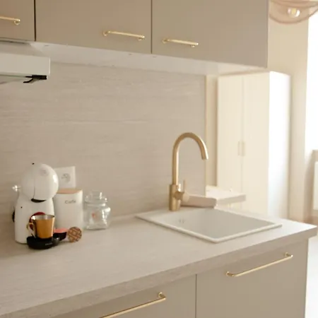 Apartment Meuble L'ecrin Dore Avec Netflix Homecourt