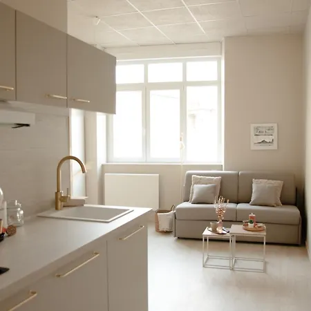 Meuble L'ecrin Dore Avec Netflix Apartment